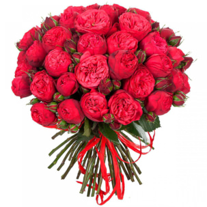 Розы Пионовидные красные ( цена за шт )