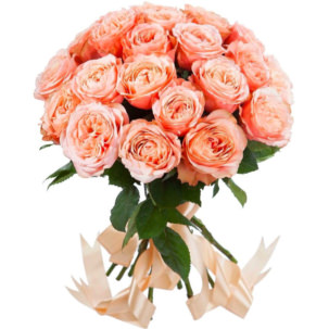Розы Пионовидные оранжевые ( цена за шт )