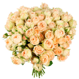 Розы Пионовидные бежевые ( цена за шт )